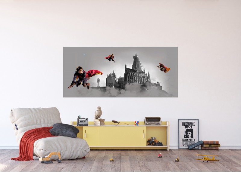 Harry Potter famfrpálové trio , AG Design, fototapeta do dětského pokoje, lepidlo součástí balení, 170x75