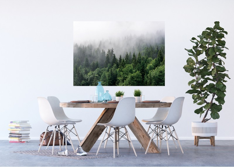 Magicky les , AG Design, fototapeta ekologická vliesová do obývacího pokoje, ložnice, jídelny, kuchyně, lepidlo součástí balení, 155x110