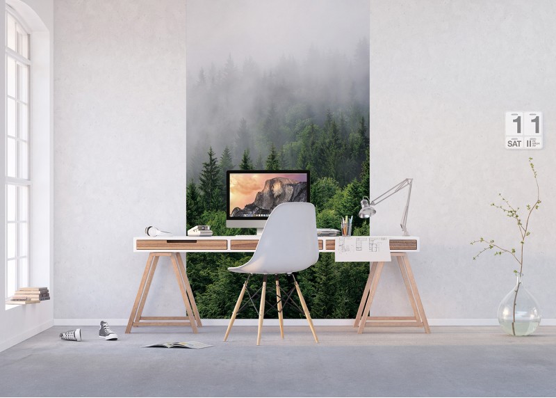 Vrcholky stromů v mlze, AG Design, fototapeta ekologická vliesová do obývacího pokoje, ložnice, jídelny, kuchyně, lepidlo součástí balení, 150x270