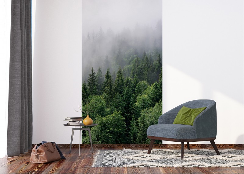 Vrcholky stromů v mlze, AG Design, fototapeta ekologická vliesová do obývacího pokoje, ložnice, jídelny, kuchyně, lepidlo součástí balení, 150x270