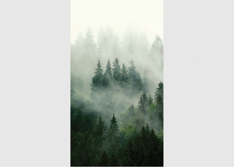 Lesní mlha, AG Design, fototapeta ekologická vliesová do obývacího pokoje, ložnice, jídelny, kuchyně, lepidlo součástí balení, 150x270