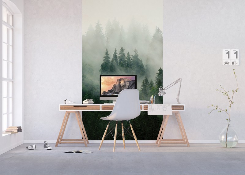 Lesní mlha, AG Design, fototapeta ekologická vliesová do obývacího pokoje, ložnice, jídelny, kuchyně, lepidlo součástí balení, 150x270