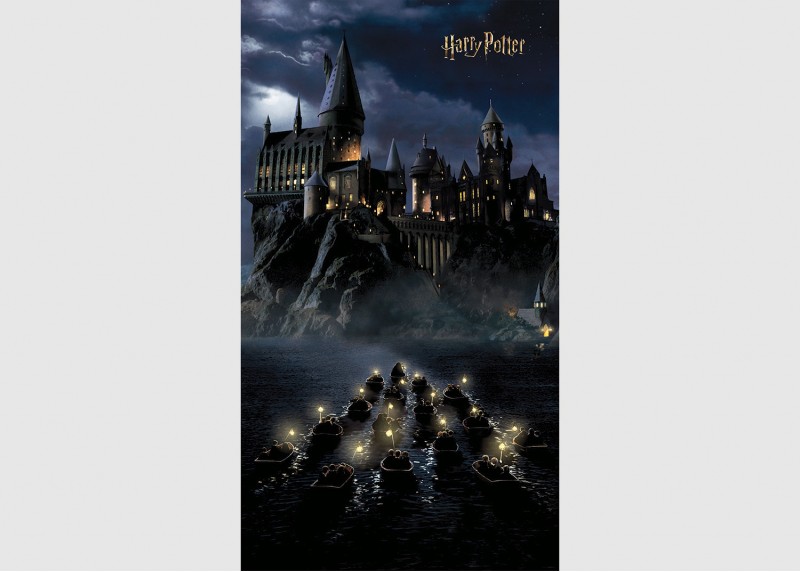 Harry Potter první rok v Bradavicích, AG Design, fototapeta do dětského pokoje, lepidlo součástí balení, 150x270