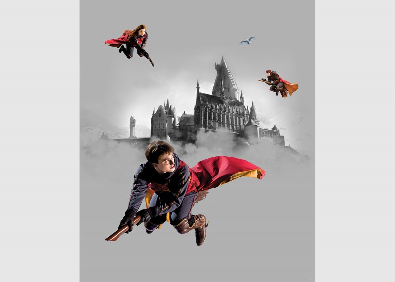 HARRY POTTER , AG Design, fototapeta do dětského pokoje, lepidlo součástí balení, 225x270