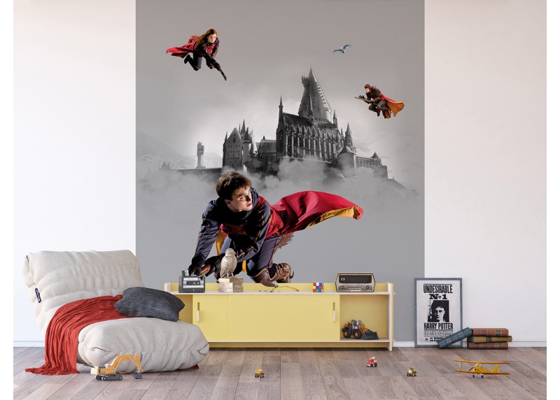 HARRY POTTER , AG Design, fototapeta do dětského pokoje, lepidlo součástí balení, 225x270