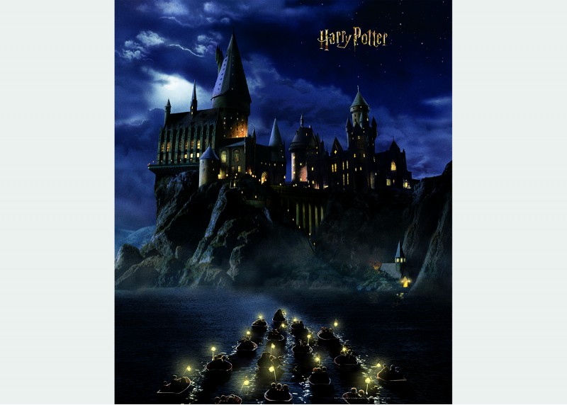 Harry Potter první rok v Bradavicích, AG Design, fototapeta do dětského pokoje, lepidlo součástí balení, 225x270