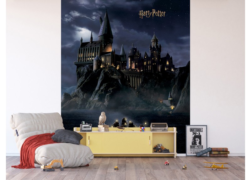 Harry Potter první rok v Bradavicích, AG Design, fototapeta do dětského pokoje, lepidlo součástí balení, 225x270