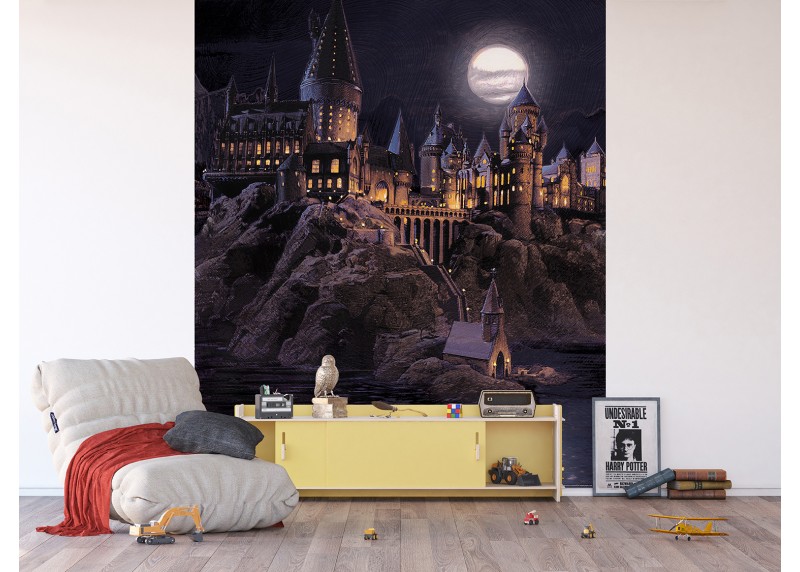 Harry Potter noční Bradavice, AG Design, fototapeta do dětského pokoje, lepidlo součástí balení, 225x270