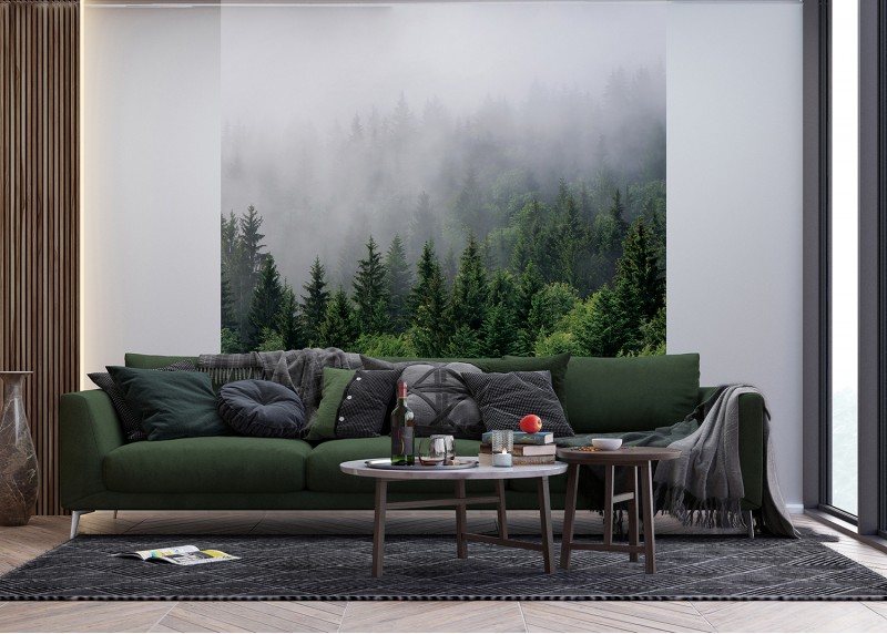 Les v ranní mlze, AG Design, fototapeta ekologická vliesová do obývacího pokoje, ložnice, jídelny, kuchyně, lepidlo součástí balení, 225x270