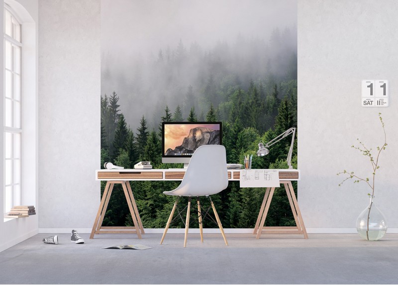 Les v ranní mlze, AG Design, fototapeta ekologická vliesová do obývacího pokoje, ložnice, jídelny, kuchyně, lepidlo součástí balení, 225x270