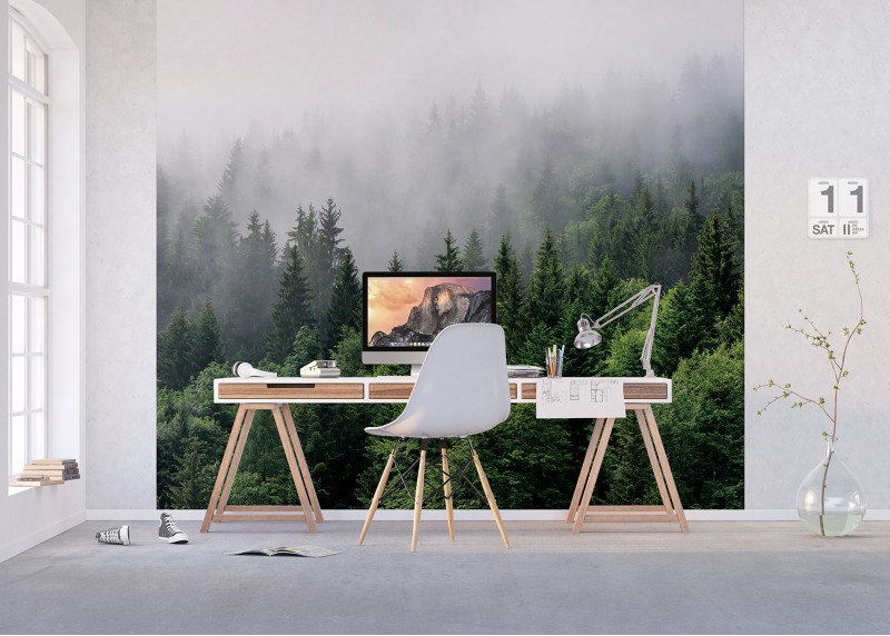 Les v ranní mlze, AG Design, fototapeta ekologická vliesová do obývacího pokoje, ložnice, jídelny, kuchyně, lepidlo součástí balení, 300x270