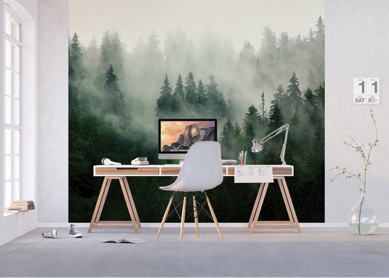 Lesní mlha, AG Design, fototapeta ekologická vliesová do obývacího pokoje, ložnice, jídelny, kuchyně, lepidlo součástí balení, 300x270