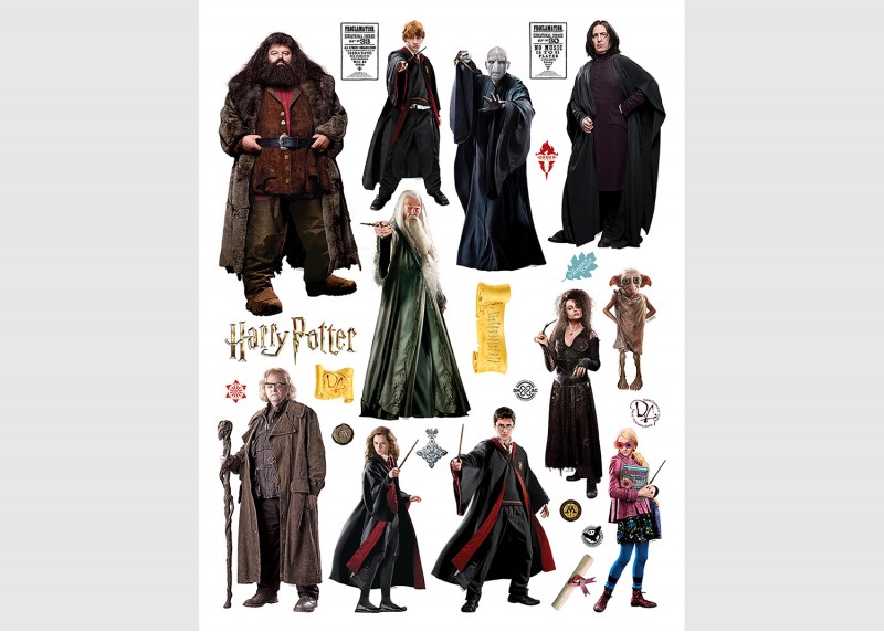 Harry Potter, dekorační nálepky na stěny, nábytek a interiérové předměty v dětském pokoji, AG Design, 65 x 85 cm, DK 2335 - 410